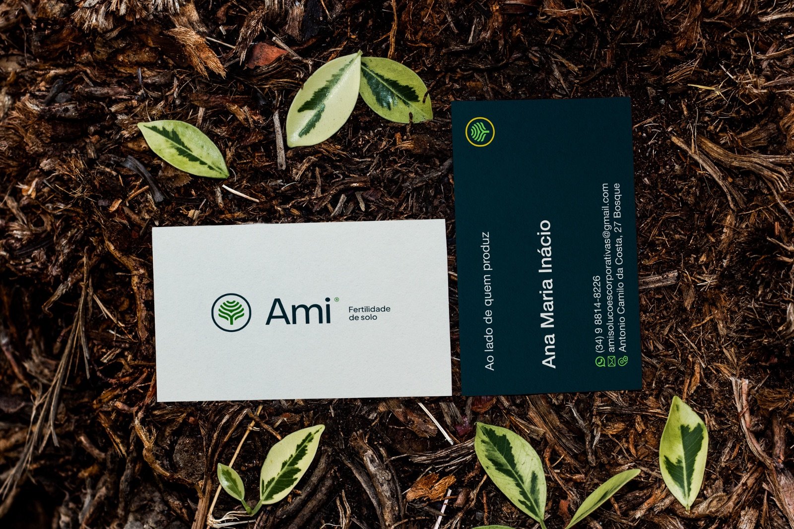 Ami